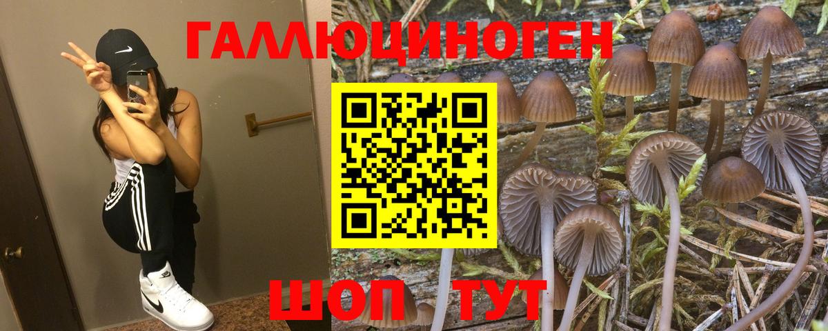 Галлюциногенные грибы мухоморы Феодосия